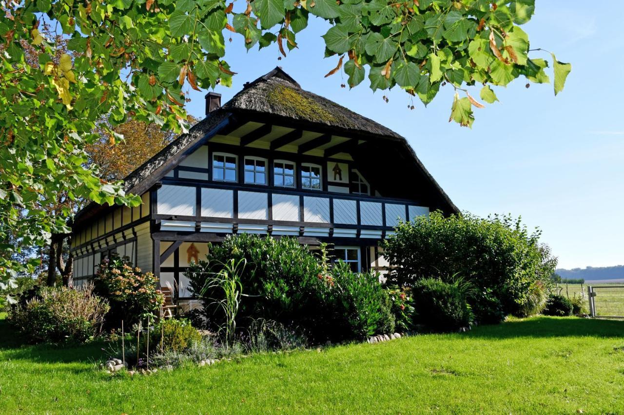 Reetdachfachwerkvilla Am Wiesengrund Bergen Auf Rugen Bagian luar foto