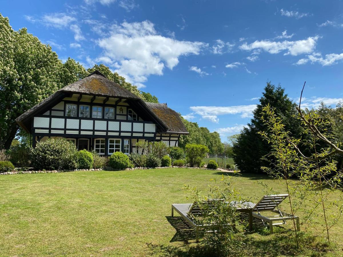 Reetdachfachwerkvilla Am Wiesengrund Bergen Auf Rugen Bagian luar foto