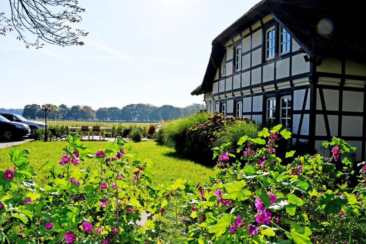 Reetdachfachwerkvilla Am Wiesengrund Bergen Auf Rugen Bagian luar foto